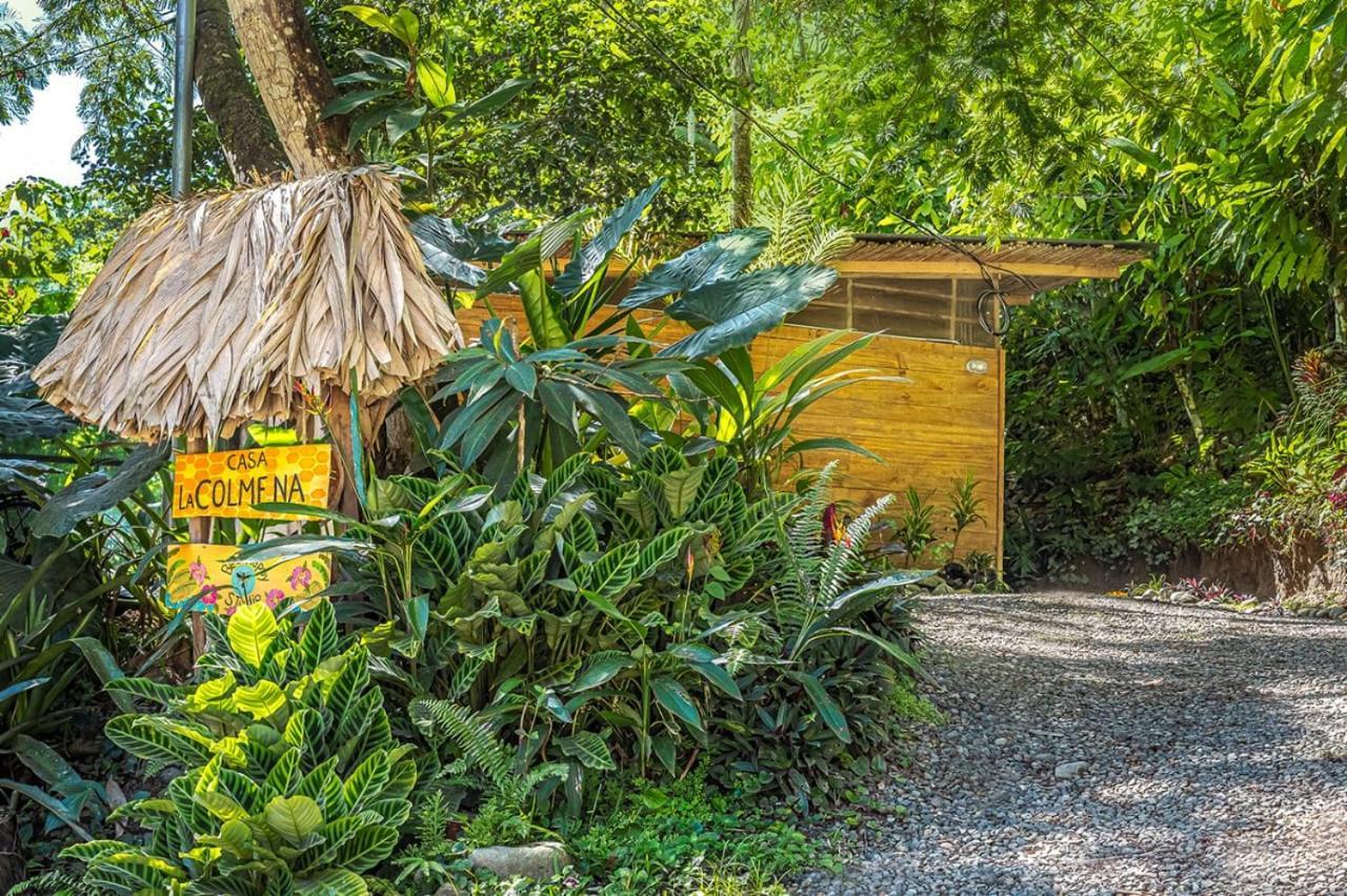 Casa La Colmena Villa Cahuita Ngoại thất bức ảnh