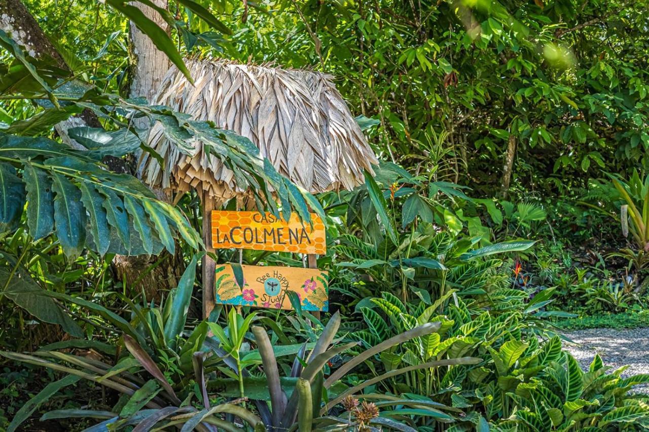 Casa La Colmena Villa Cahuita Ngoại thất bức ảnh
